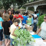 Youth at the Children’s Vegetable Garden Program, presented in cooperation with the San Antonio Botanical Gardens, grow, harvest and show vegetables grown on their own plots.