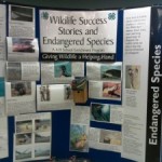 Display illustrating The Wildlife Success Stories and Endangered Species educational module
