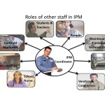 Diagram of the Roles of IPM staff