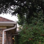 Image of tree branches hanging over house roof and shrubs close to the house