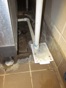 Sticky trap placed on the floor beneath indoor plumbing in a wet area