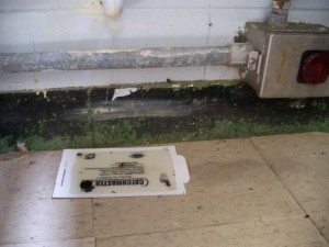 Image of a sticky board placed outdoors with a bait trap