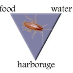 Image of food, water and harborage pest triangle