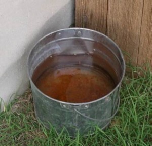 Image of a pail of water on grassy area adjacent to a white wall and perpendicular wood fence