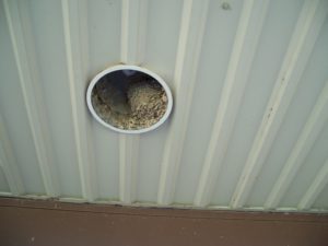 Image of outdoor lighting harboring a pest's nest. 