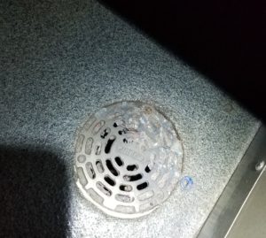 This floor drain is an example of what wax build up can look like and how it can hamper water flow, which allows for cockroaches to move in. 
