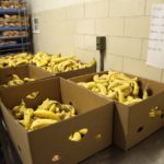 Crates of bananas in a school kitchen