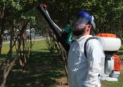 Man using a backpack sprayer