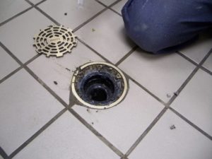 plastic device that blocks insects in drains