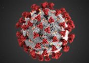 coronavirus microspotic