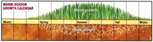 chart of warm season trufgrass growing chart