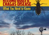 Cover of the Kissign Bugs and Chagas Disease book