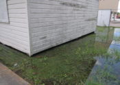 standing water around wood building